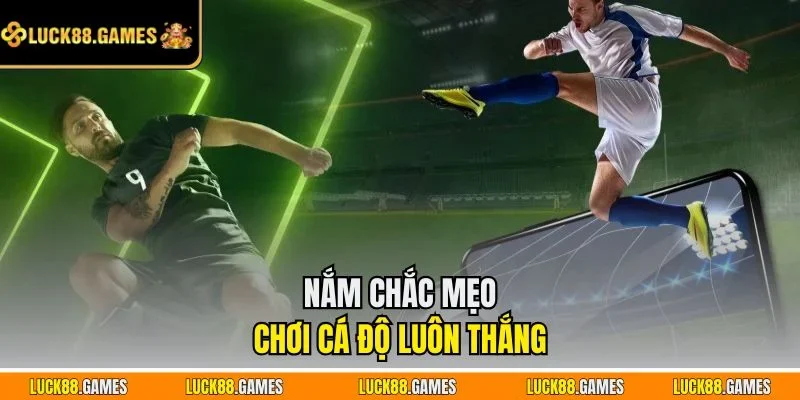 Nắm chắc mẹo chơi cá độ luôn thắng 